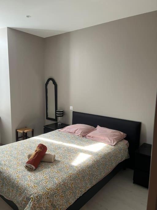 Superbe Appartement Plein Centre ミヨー エクステリア 写真