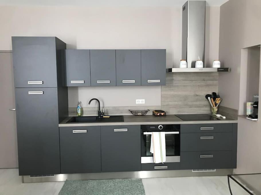 Superbe Appartement Plein Centre ミヨー エクステリア 写真
