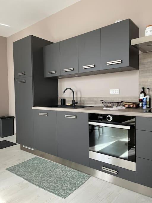 Superbe Appartement Plein Centre ミヨー エクステリア 写真